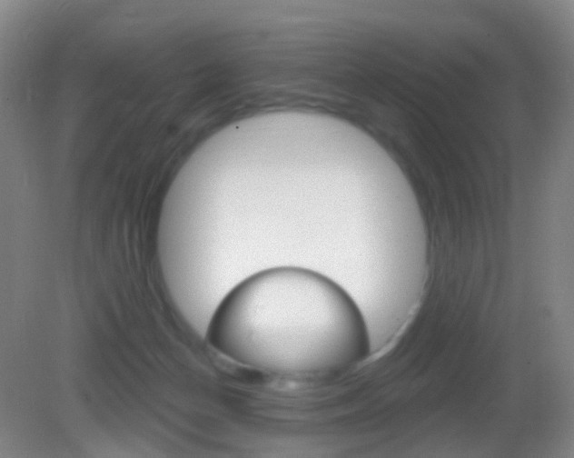 X0000083050174200702021019
