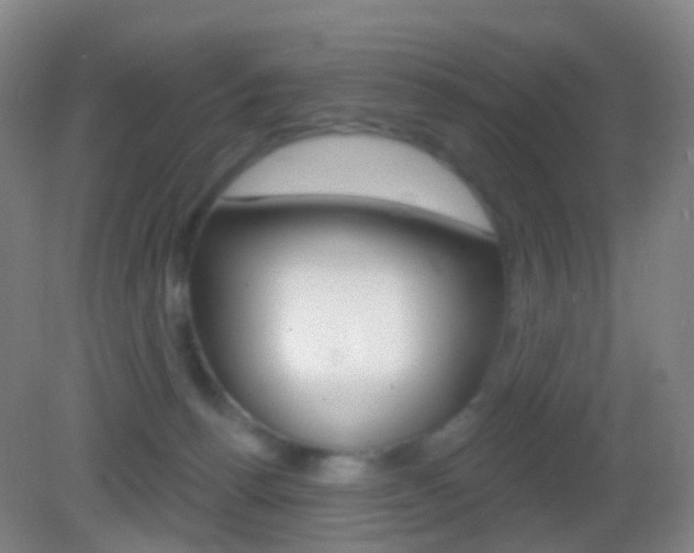 X0000083050176200702021019