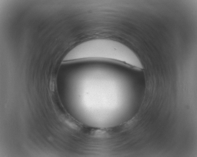 X0000083050180200702021019