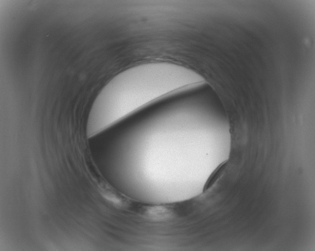 X0000083050183200702021019