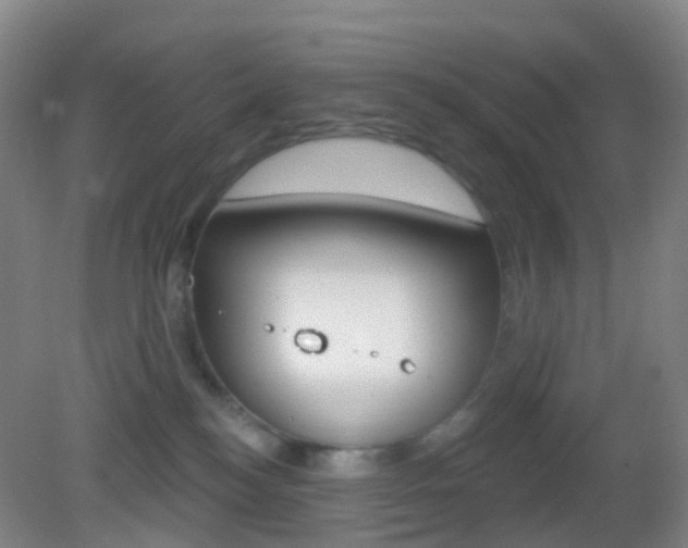 X0000083050184200702021019