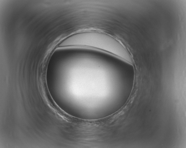 X0000083050193200702021019