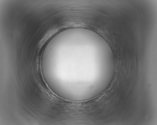 X0000083050194200702021019