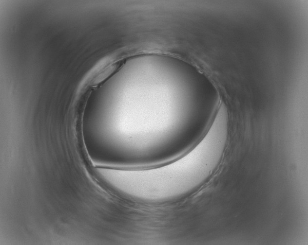 X0000083050197200702021019