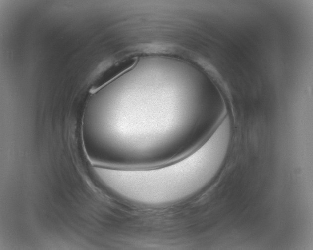 X0000083050201200702021019