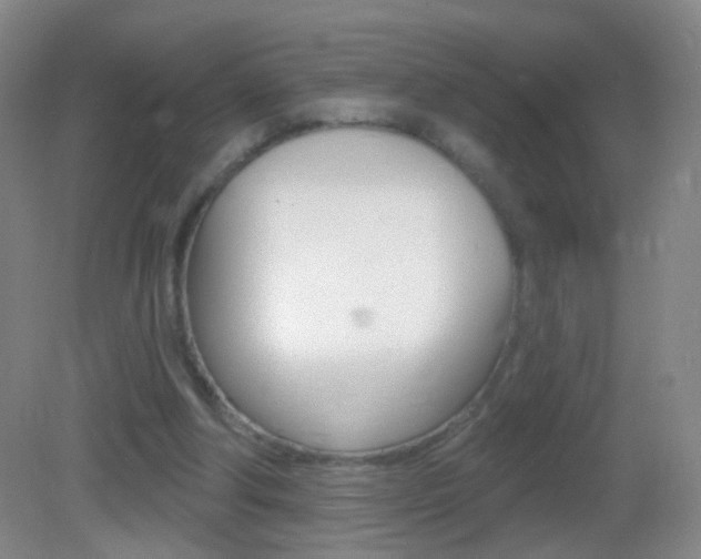 X0000083050202200702021019