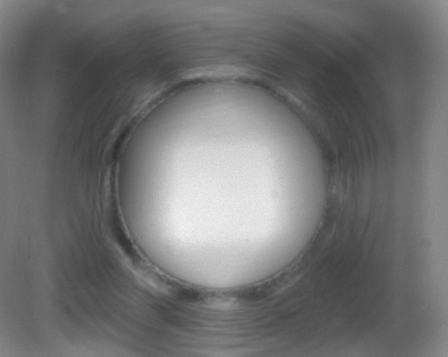 X0000083050206200702021019