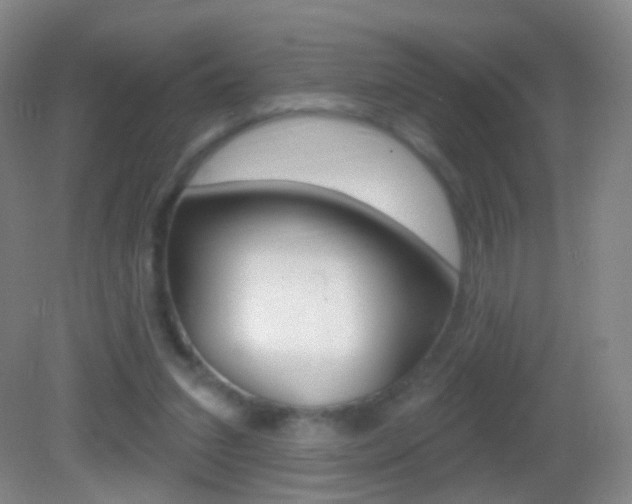 X0000083050207200702021019