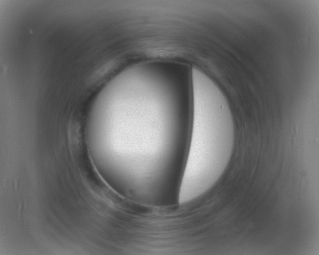 X0000083050211200702021018