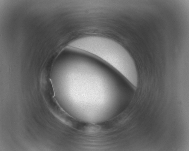 X0000083050215200702021018