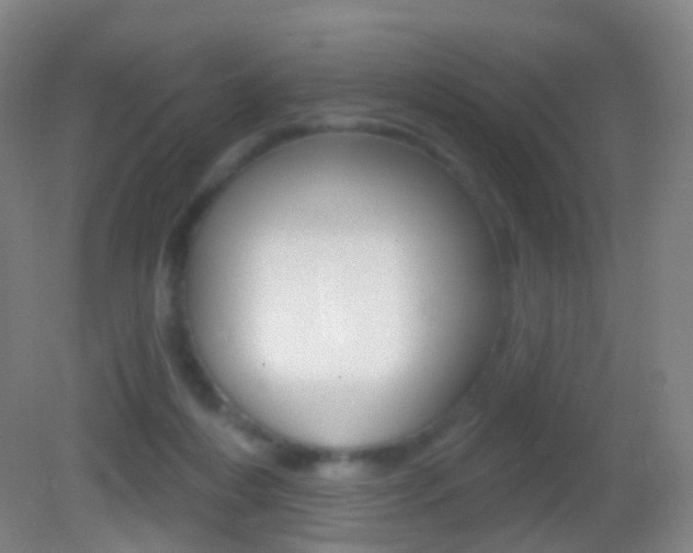 X0000083050216200702021018