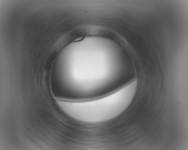 X0000083050217200702021018