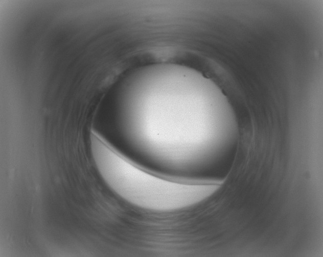 X0000083050221200702021018
