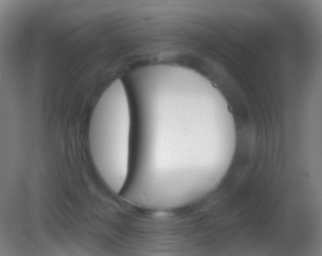 X0000083050222200702021018