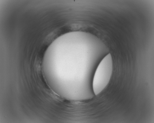 X0000083050226200702021018