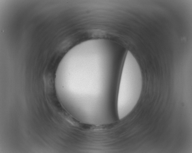 X0000083050228200702021018