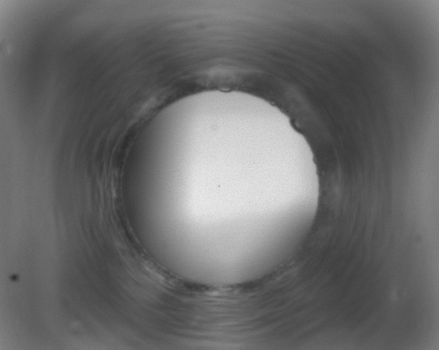 X0000083050232200702021018