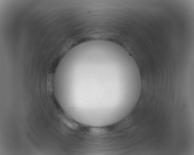 X0000083050234200702021018
