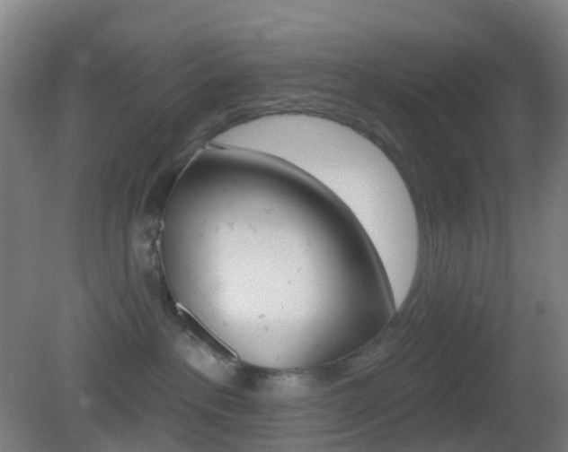 X0000083050237200702021018