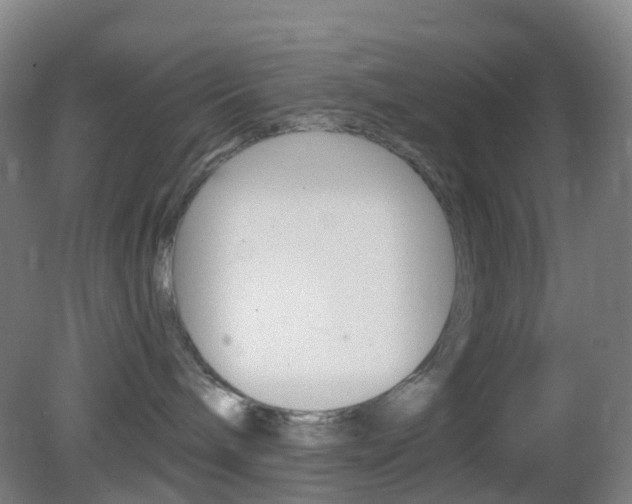 X0000083050240200702021018