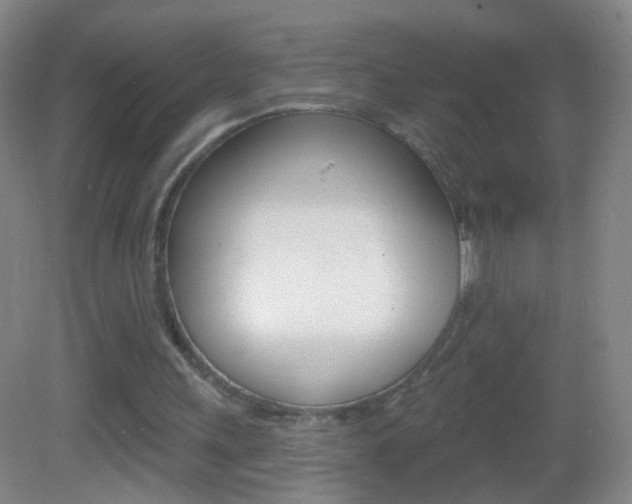 X0000083050243200702021017