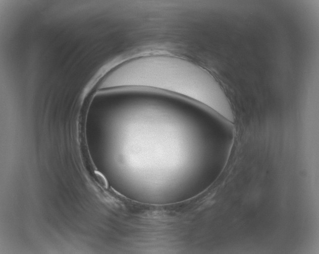 X0000083050244200702021017