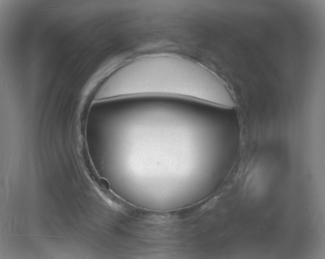 X0000083050245200702021017