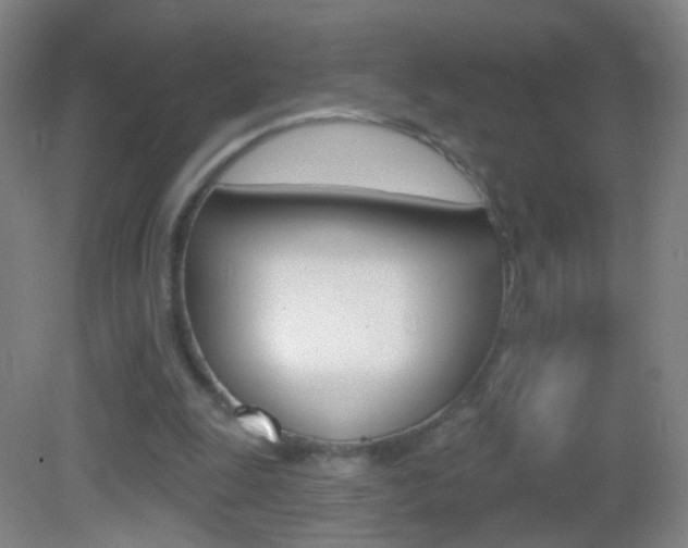 X0000083050247200702021017