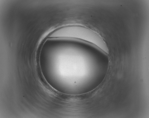 X0000083050248200702021017