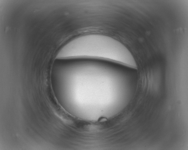 X0000083050255200702021017