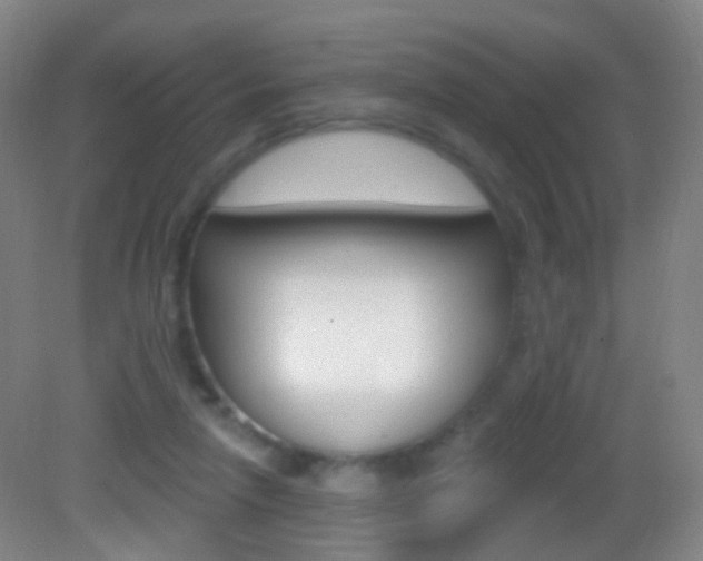 X0000083050258200702021017