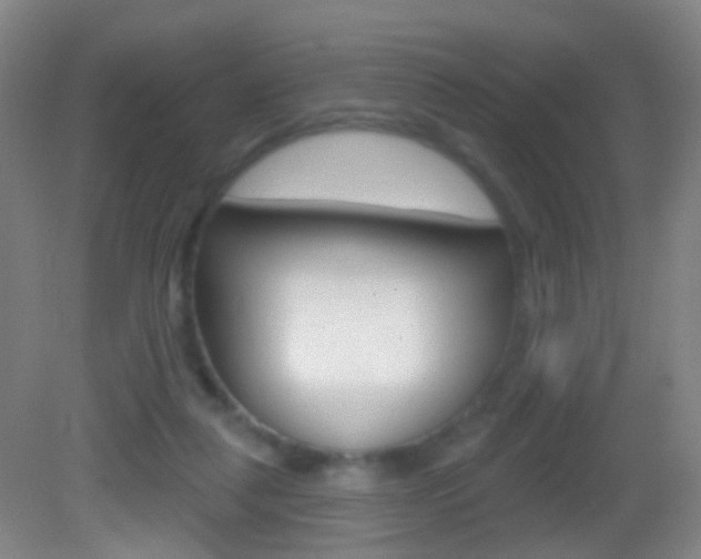 X0000083050259200702021017