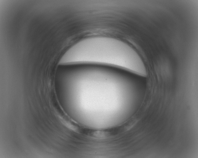 X0000083050261200702021018