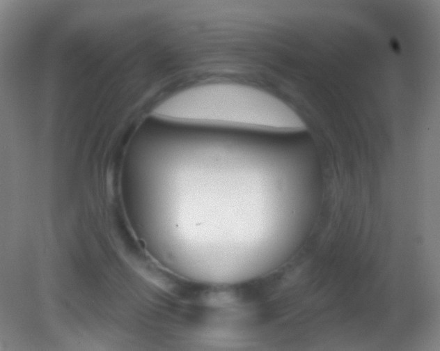 X0000083050262200702021018