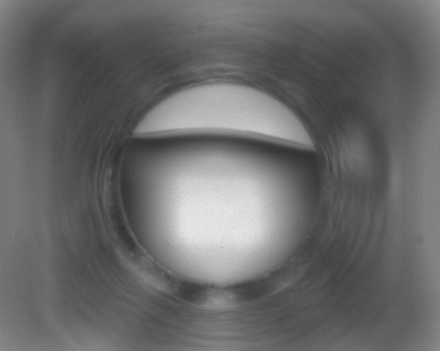 X0000083050263200702021018