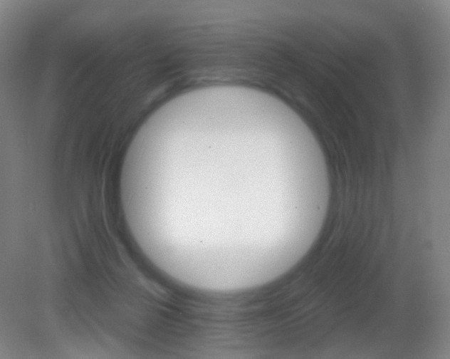 X0000083050264200702021018