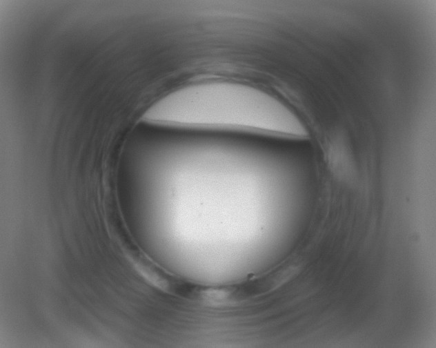 X0000083050265200702021018
