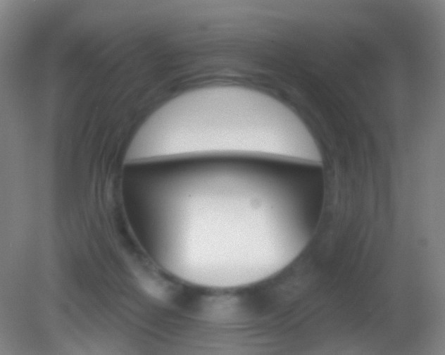 X0000083050266200702021018