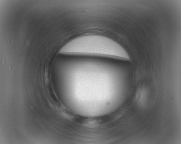 X0000083050267200702021018