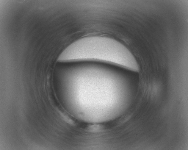 X0000083050269200702021018