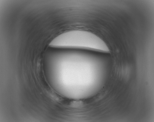 X0000083050271200702021018