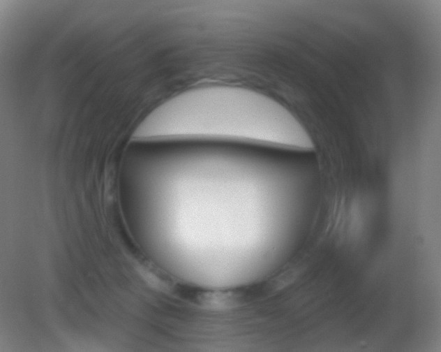 X0000083050273200702021018