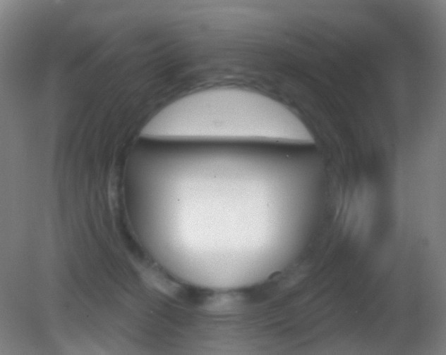 X0000083050274200702021018