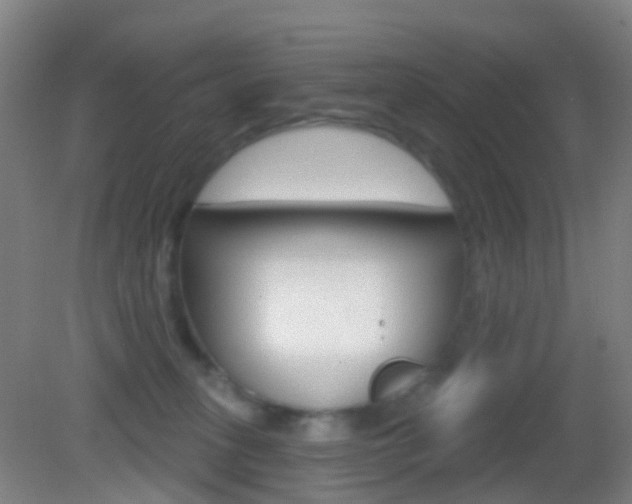 X0000083050275200702021018