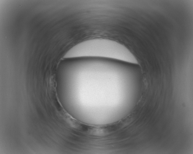 X0000083050276200702021018