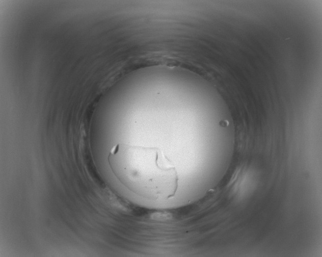X0000083050279200702021018