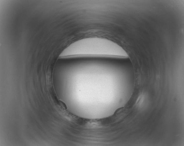 X0000083050283200702021018