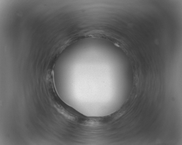X0000083050284200702021018