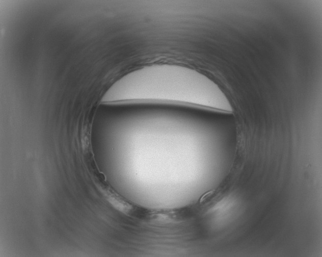 X0000083050285200702021018