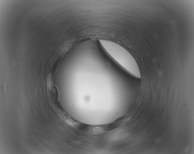 X0000083050287200702021018
